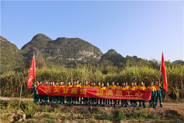 邊關(guān)甘蔗情，“甜”滿員工心—崇左紅獅助海外員工家屬收甘蔗